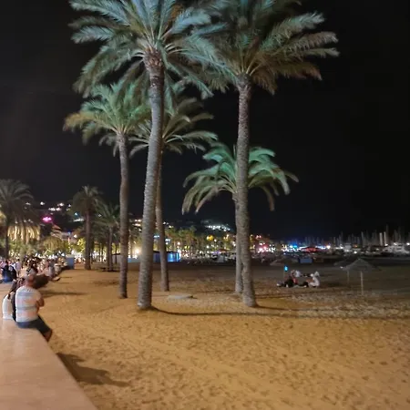 Appartement Studio lavandou avec parking privé proche mer *